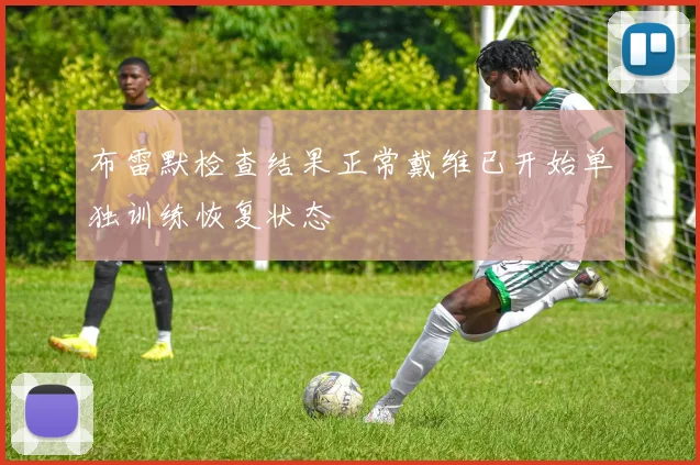 布雷默检查结果正常戴维已开始单独训练恢复状态